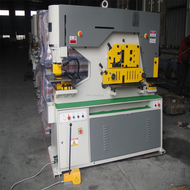 Máquina perforadora de hierro hidráulica serie RAYMAX Q35y