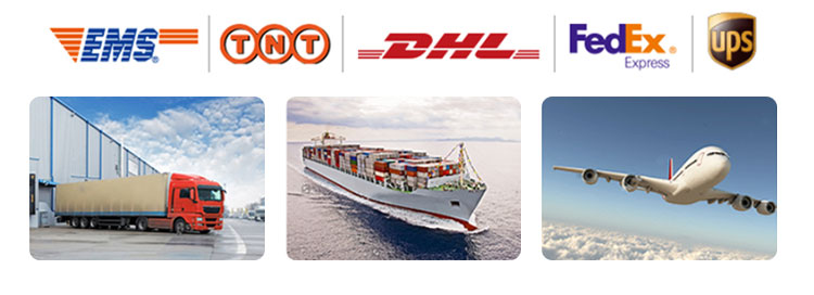 Qc11k-6x2500 Metal Guillotine Shear Guillotine Shearing Machine Qc11k-6x2500 Máquina de corte de guillotina de corte de guillotina de metal